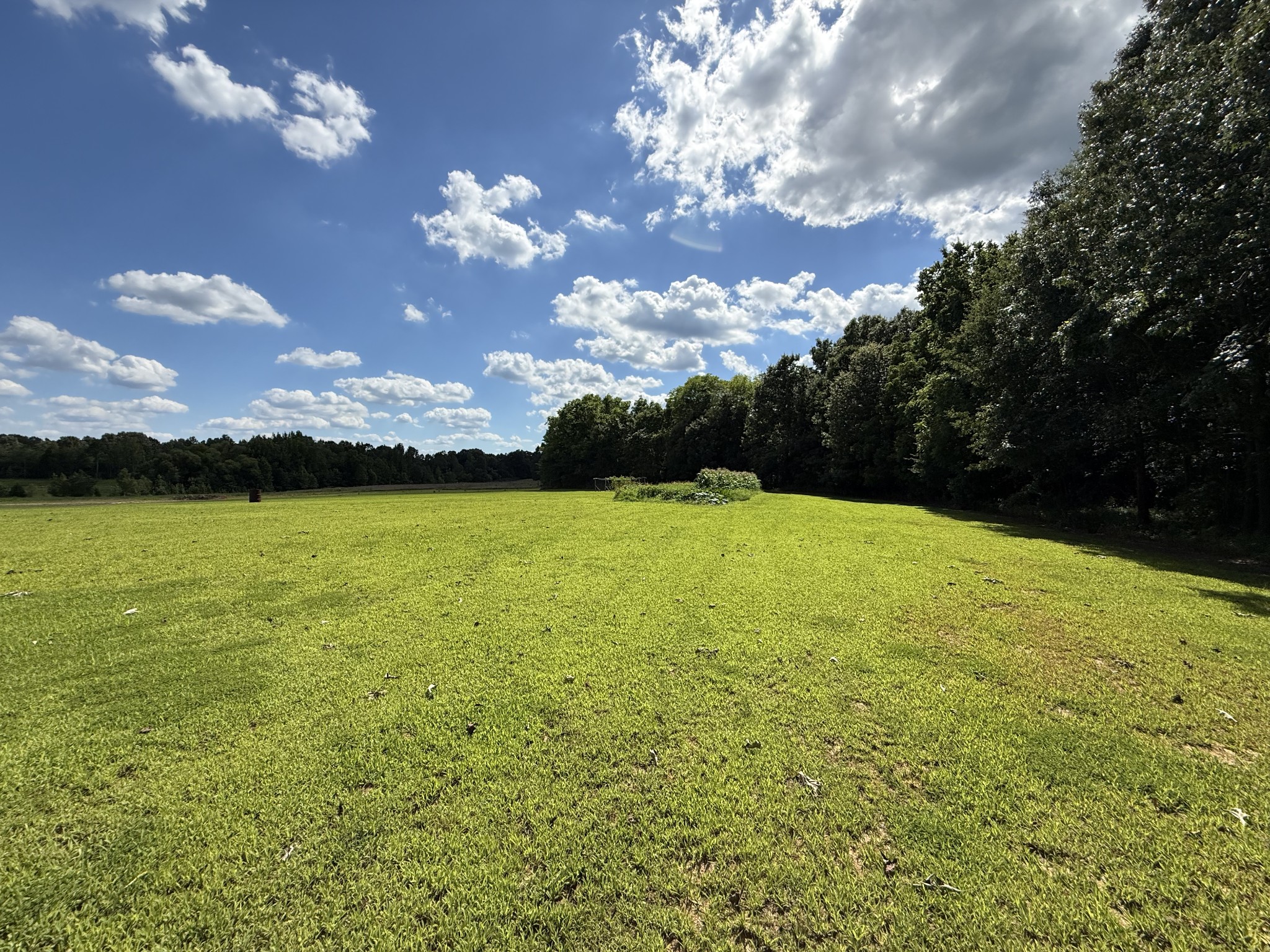 2333 Shady Grove Road McKenzie, TN 38201 - Photo 31 of 72