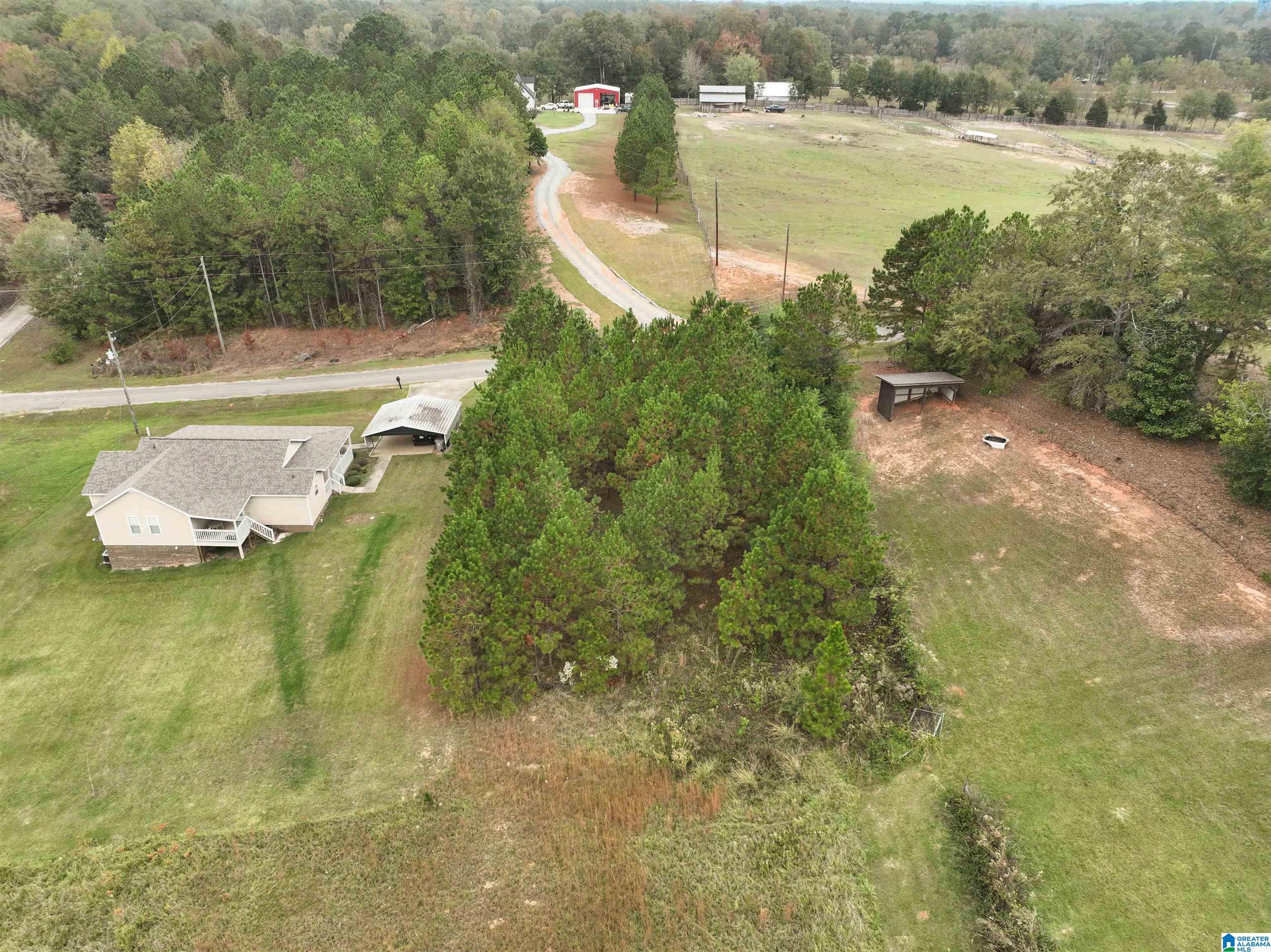 0 Old West Road, Unit LOT 4 Thorsby, AL 35171 - Photo 4 of 4