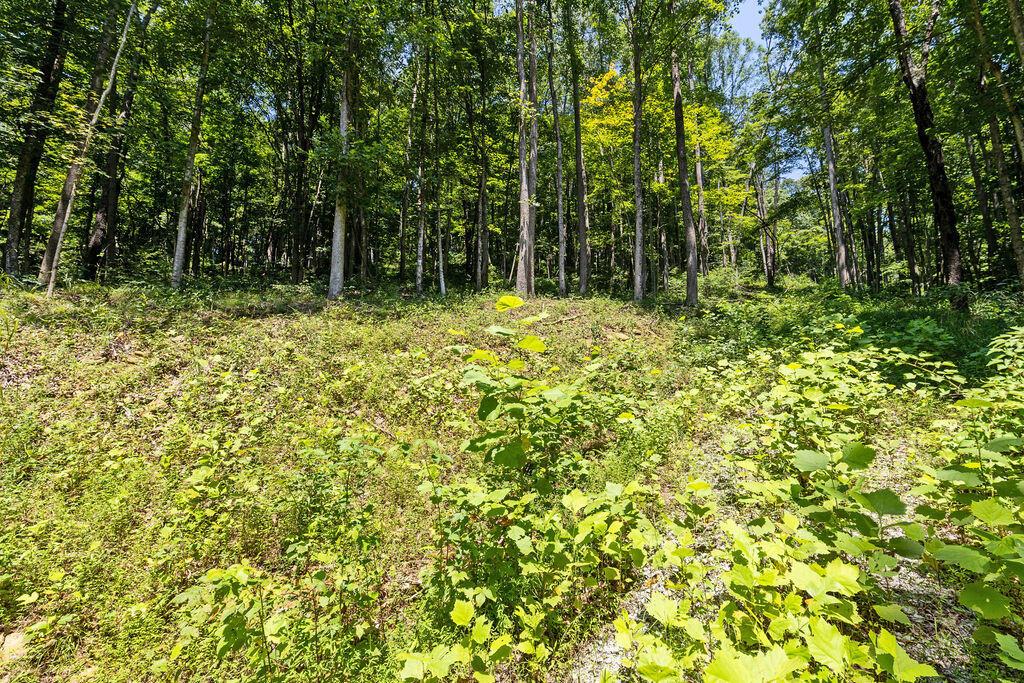 24272 Conrad Road Laurelville, OH 43135 - Photo 24 of 32 24-Walking Path-3