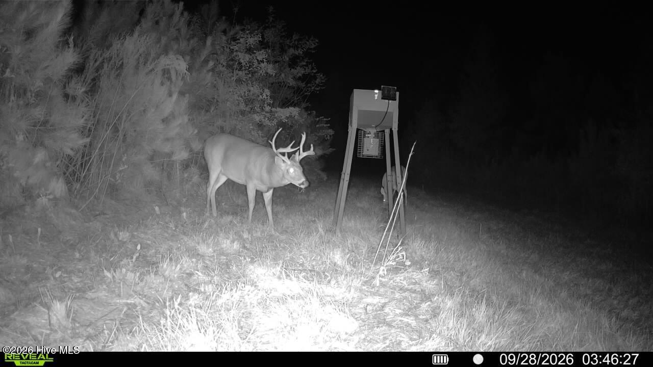 0 Pughsley Road Stapleton, GA 30823 - Photo 11 of 13 IEJL2435