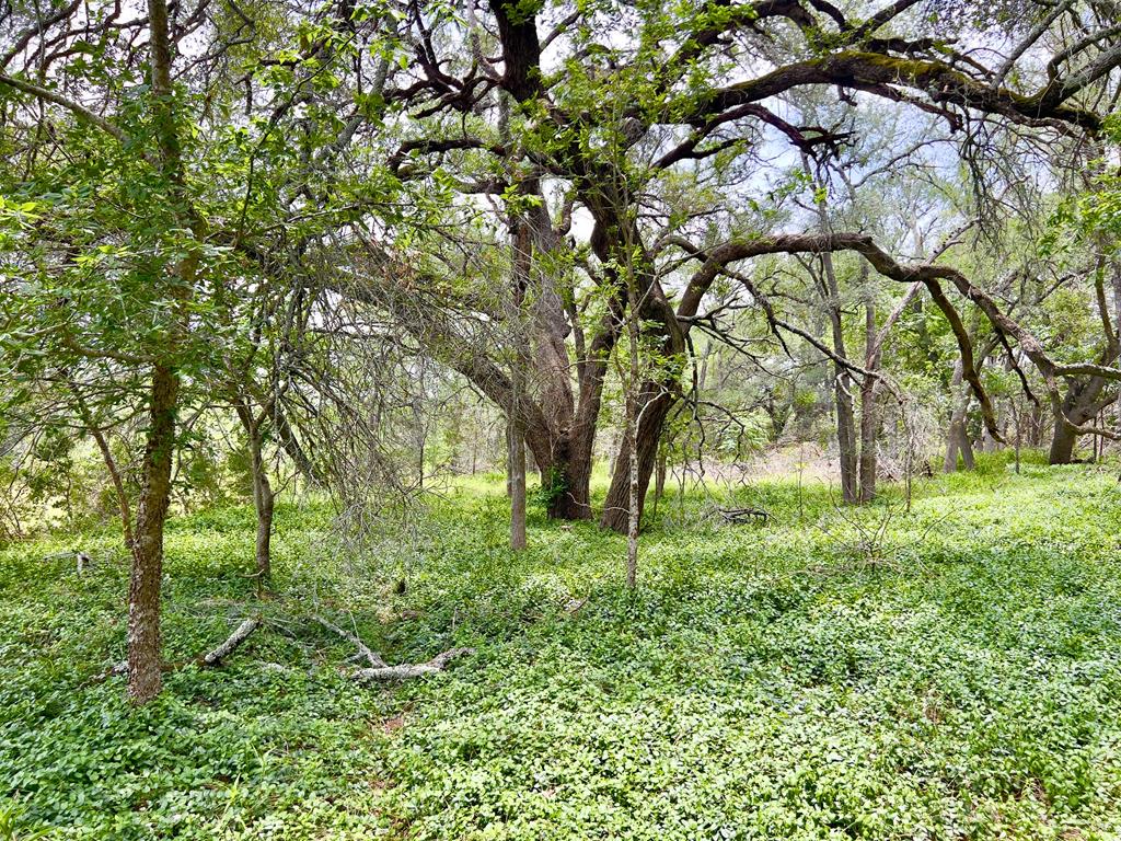 Tbd Narrows Road, Unit 19PT Blanco, TX 78606 - Photo 8 of 8
