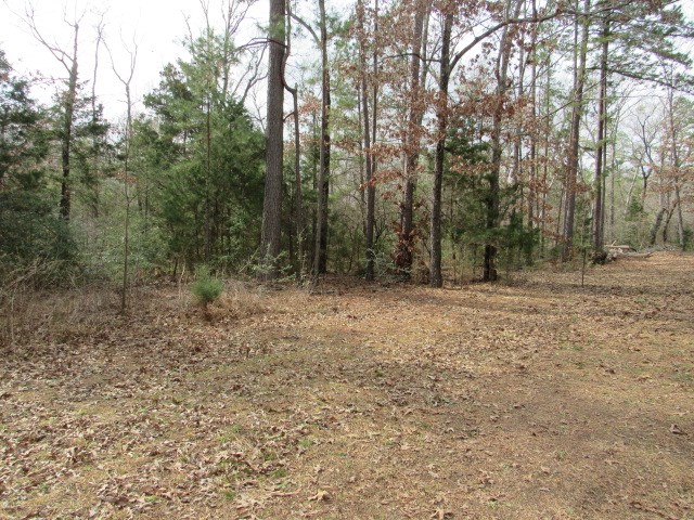 102 An County Road, Unit 347 Palestine, TX 75803 - Photo 11 of 27