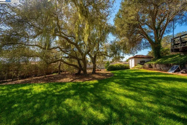a view of a yard with a tree