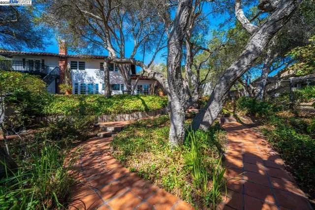 a view of a yard with a slide