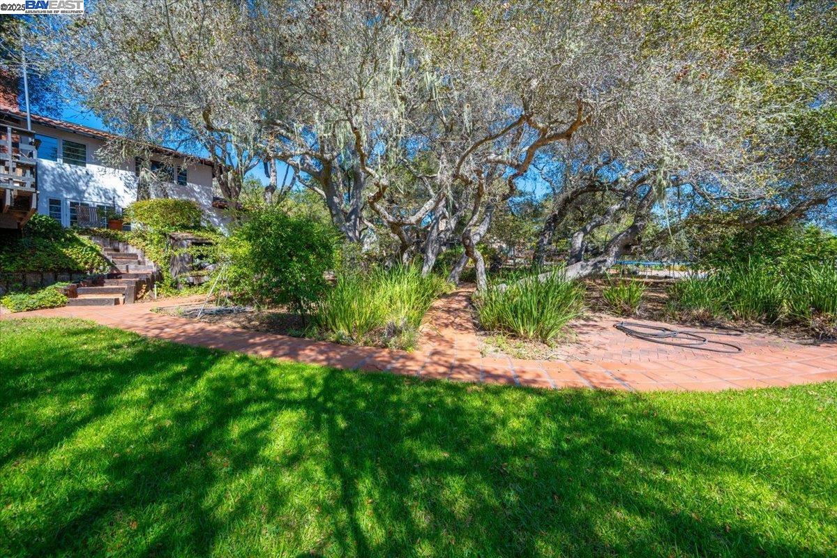 298 St Andrews Way Lompoc, CA 93436 - Photo 43 of 56 a view of a yard with a tree