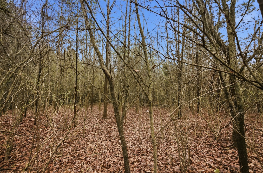 0 Bell Road Williamston, SC 29697 - Photo 4 of 7 Interior
