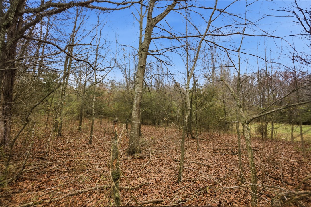 0 Bell Road Williamston, SC 29697 - Photo 5 of 7 Interior