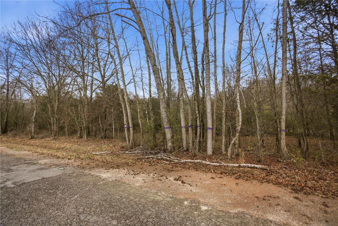 0 Bell Road Williamston, SC 29697 - Photo 6 of 7 Street View