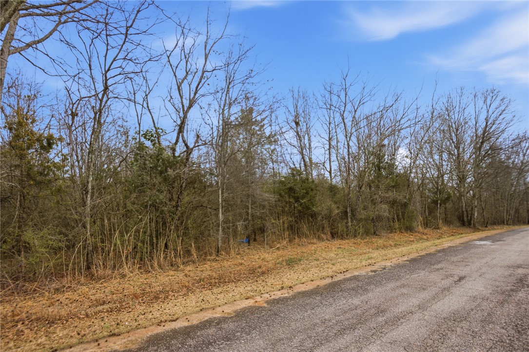 0 Bell Road Williamston, SC 29697 - Photo 7 of 7 Street View