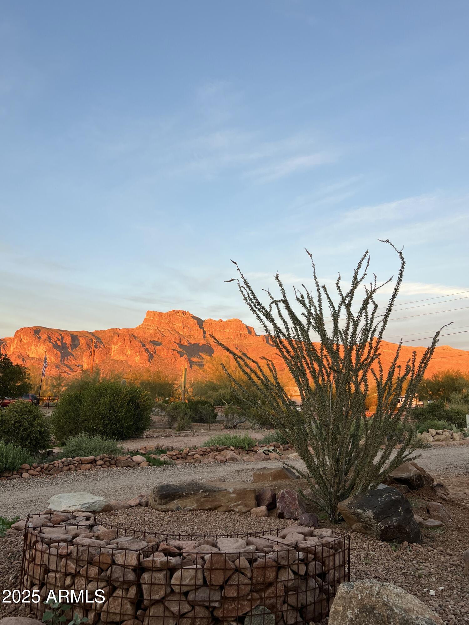 1502 South Prospectors Road Apache Junction, AZ 85119 - Photo 78 of 79 a view of a yard with a tree