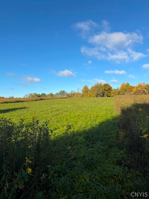 Jackson Road Carthage, NY 13619 - Photo 1 of 8 Gallery Image 1