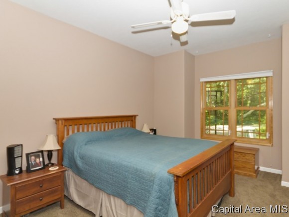 3224 Hazlett Road Springfield, IL 62707 - Photo 17 of 24