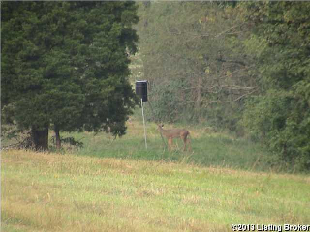 3053 Hempridge Road Shelbyville, KY 40065 - Photo 1 of 11 Photo 1