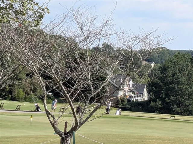 a view of a yard in the town
