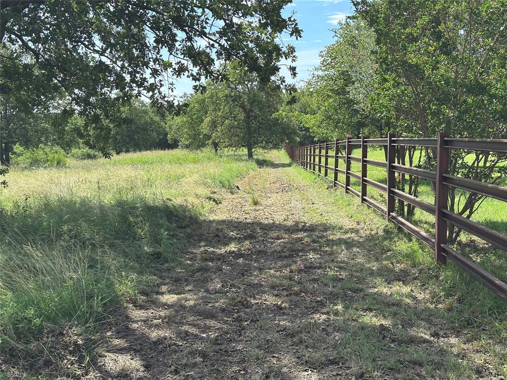 570 Big Salty Lane Springtown, TX 76082 - Photo 4 of 36