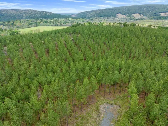 a view of a lush green hillside and houses