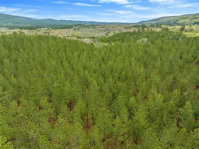 a view of an ocean and a mountain