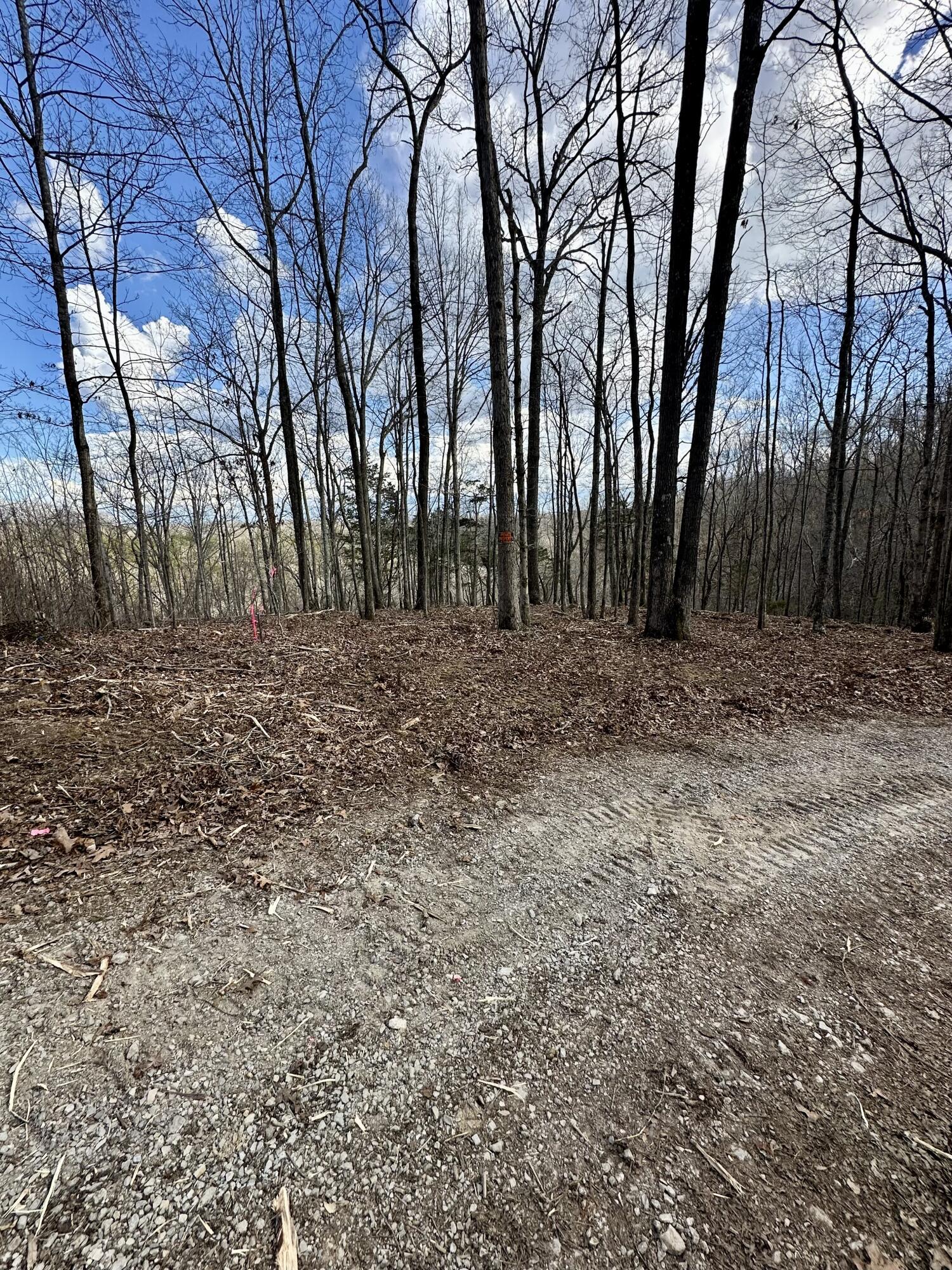 16 Malone Ridge Road, Unit 16 Albany, KY 42602 - Photo 2 of 6 IMG_4312