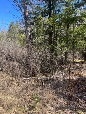 $43,000 | Lake John Road, Lakewood, WI 54138