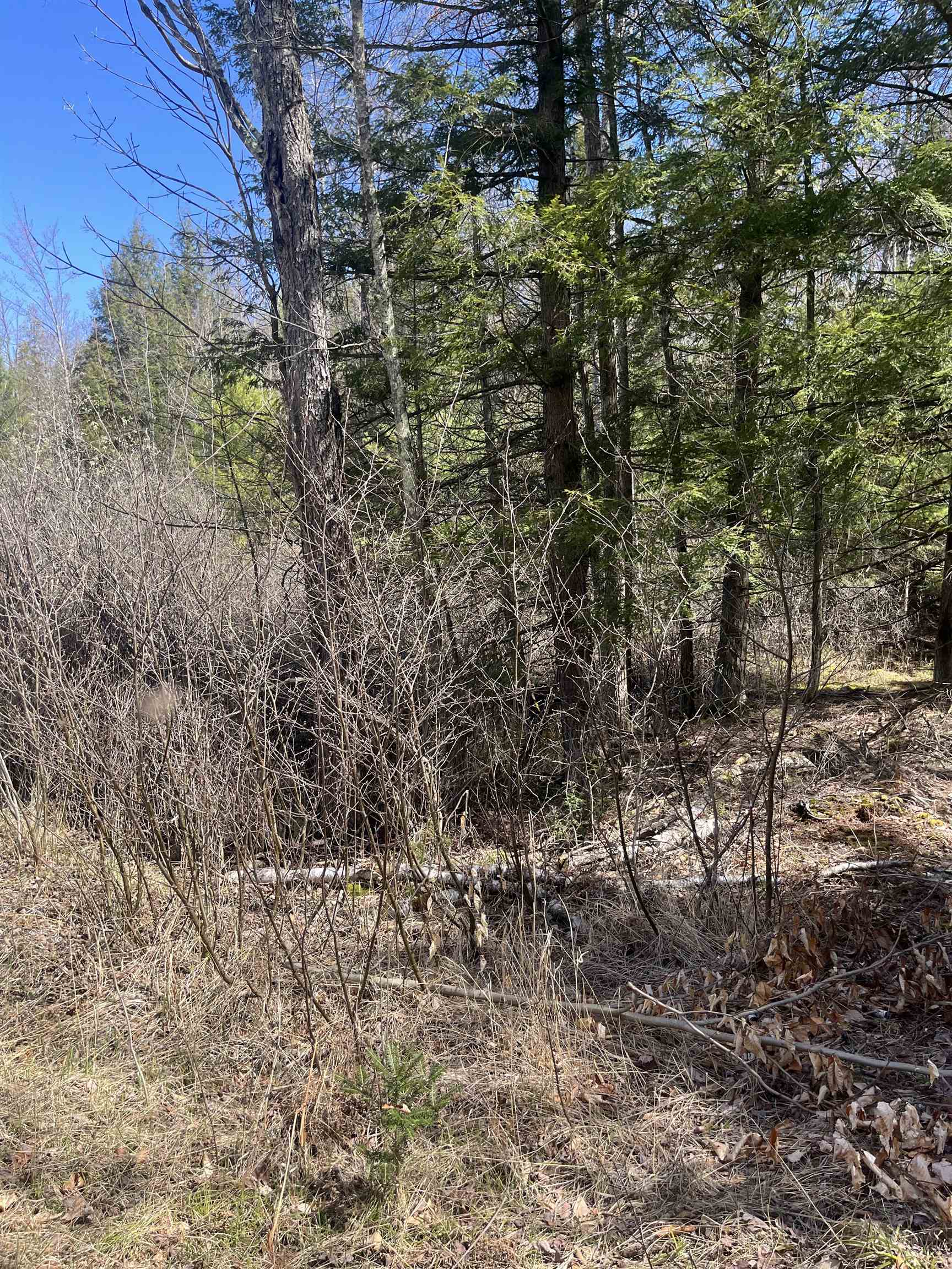 Lake John Road Lakewood, WI 54138 - Photo 3 of 3