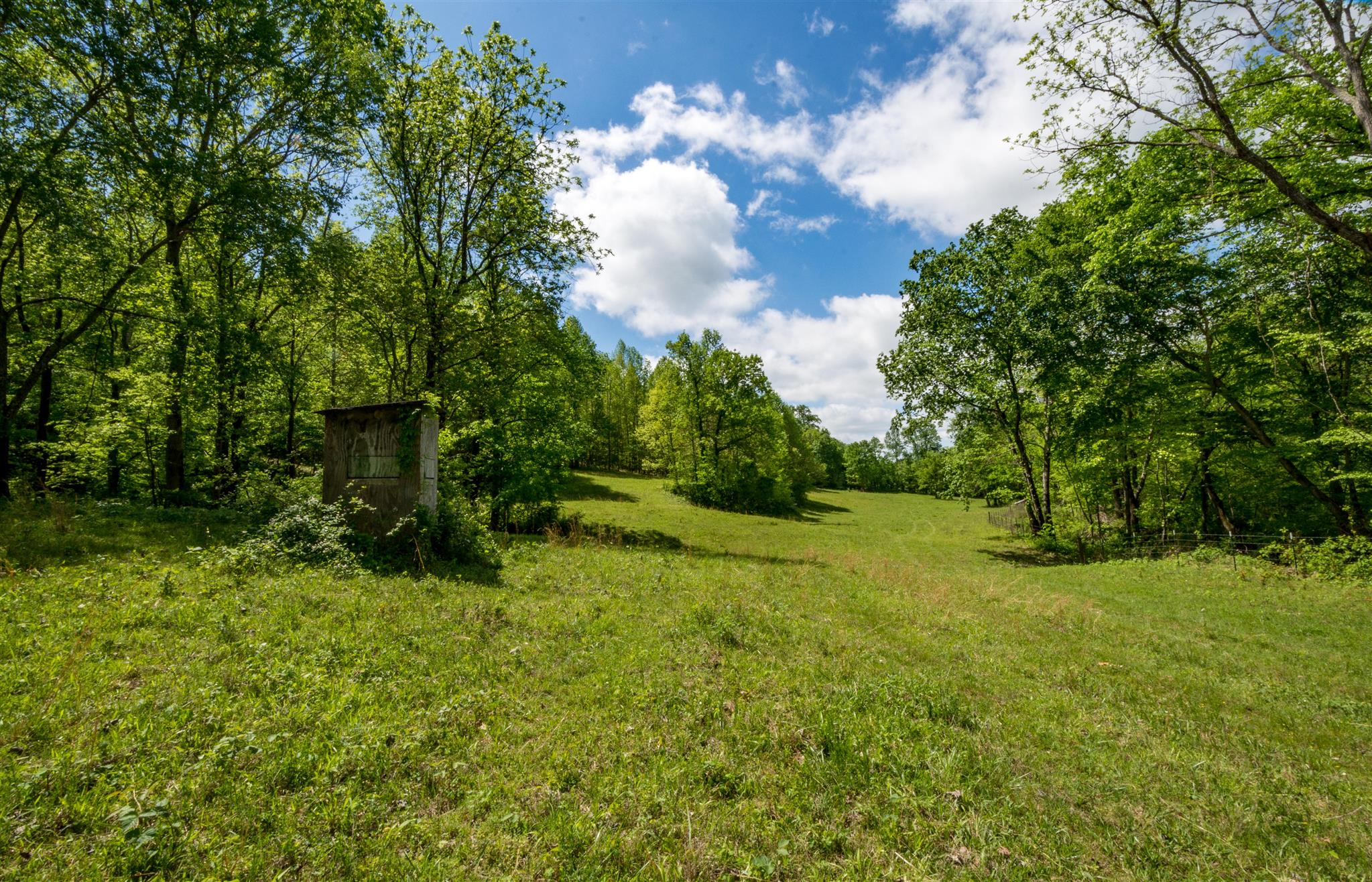 0 Tatum Road Pulaski, TN 38478 - Photo 14 of 30 a backyard of a house with lots of green space