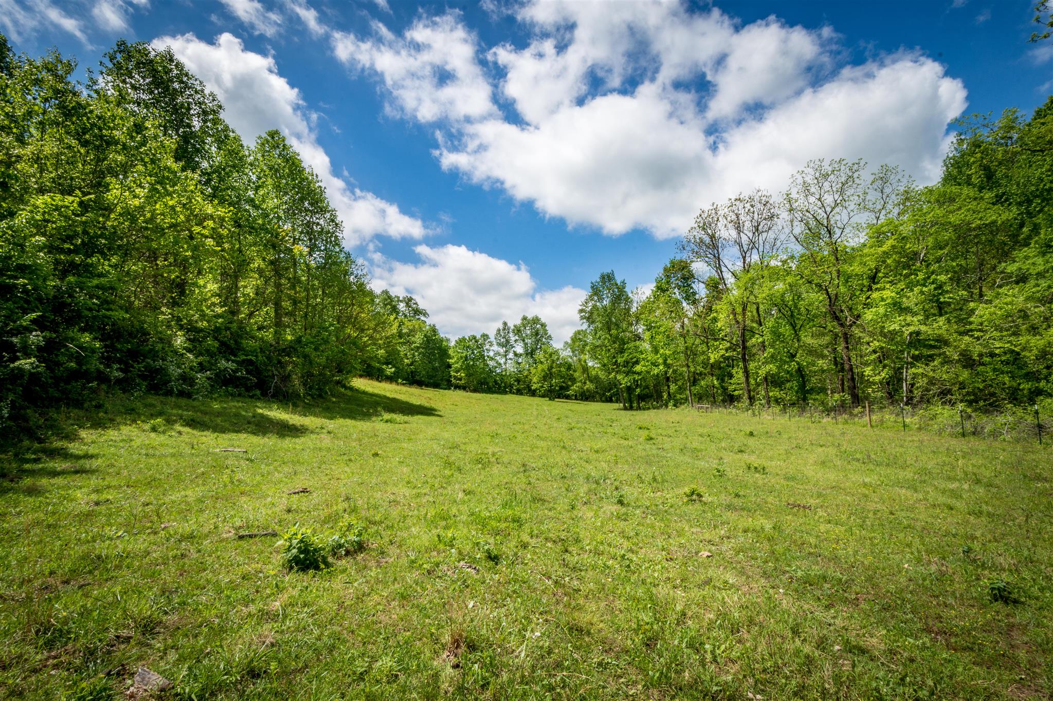 0 Tatum Road Pulaski, TN 38478 - Photo 15 of 30 a view of a big yard with lots of green space