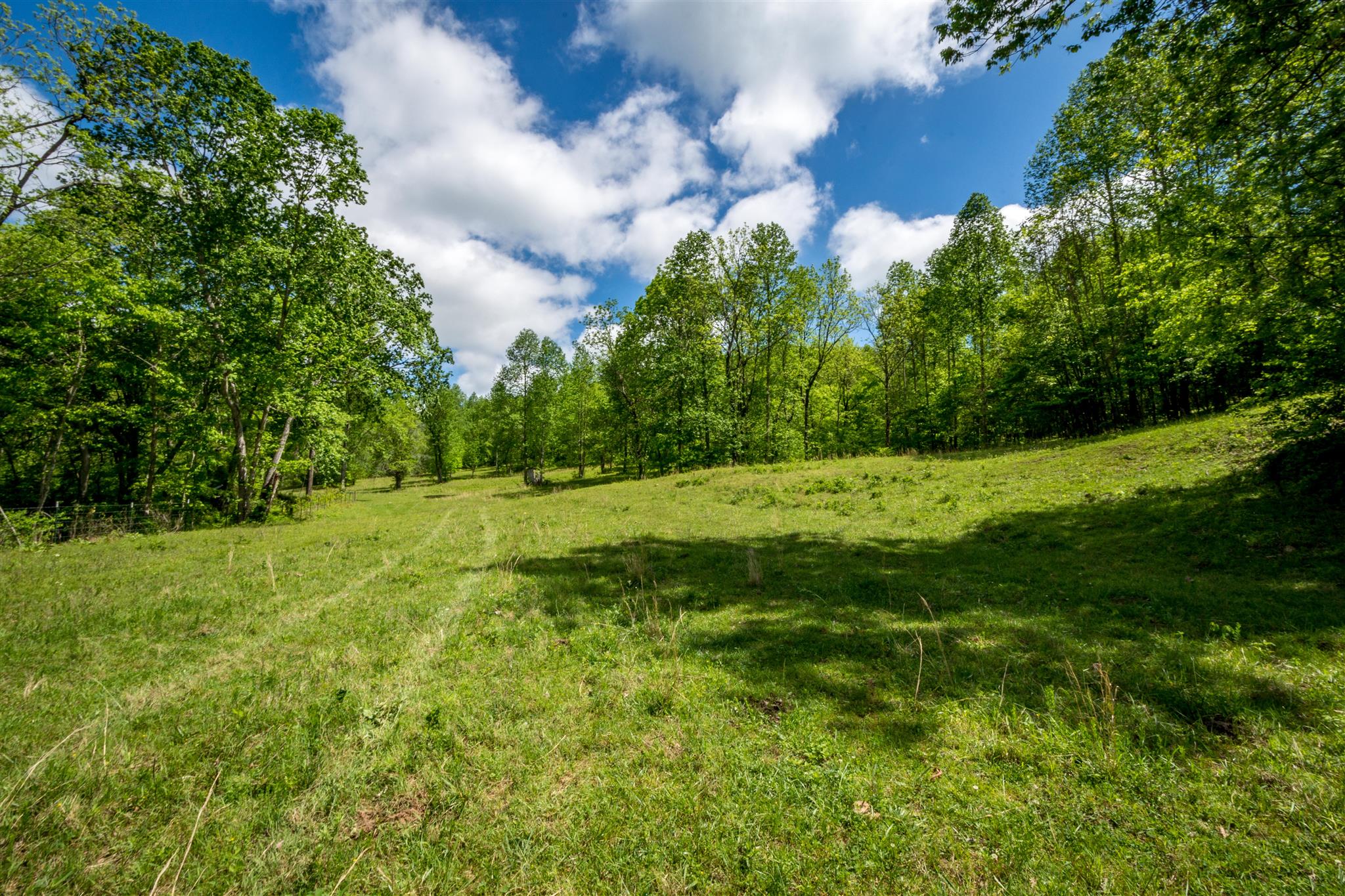 0 Tatum Road Pulaski, TN 38478 - Photo 16 of 30 a view of outdoor space with deck and yard