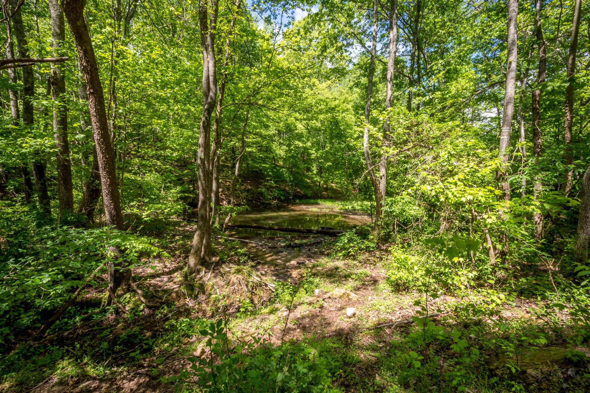 0 Tatum Road Pulaski, TN 38478 - Photo 18 of 30 a view of outdoor space and trees