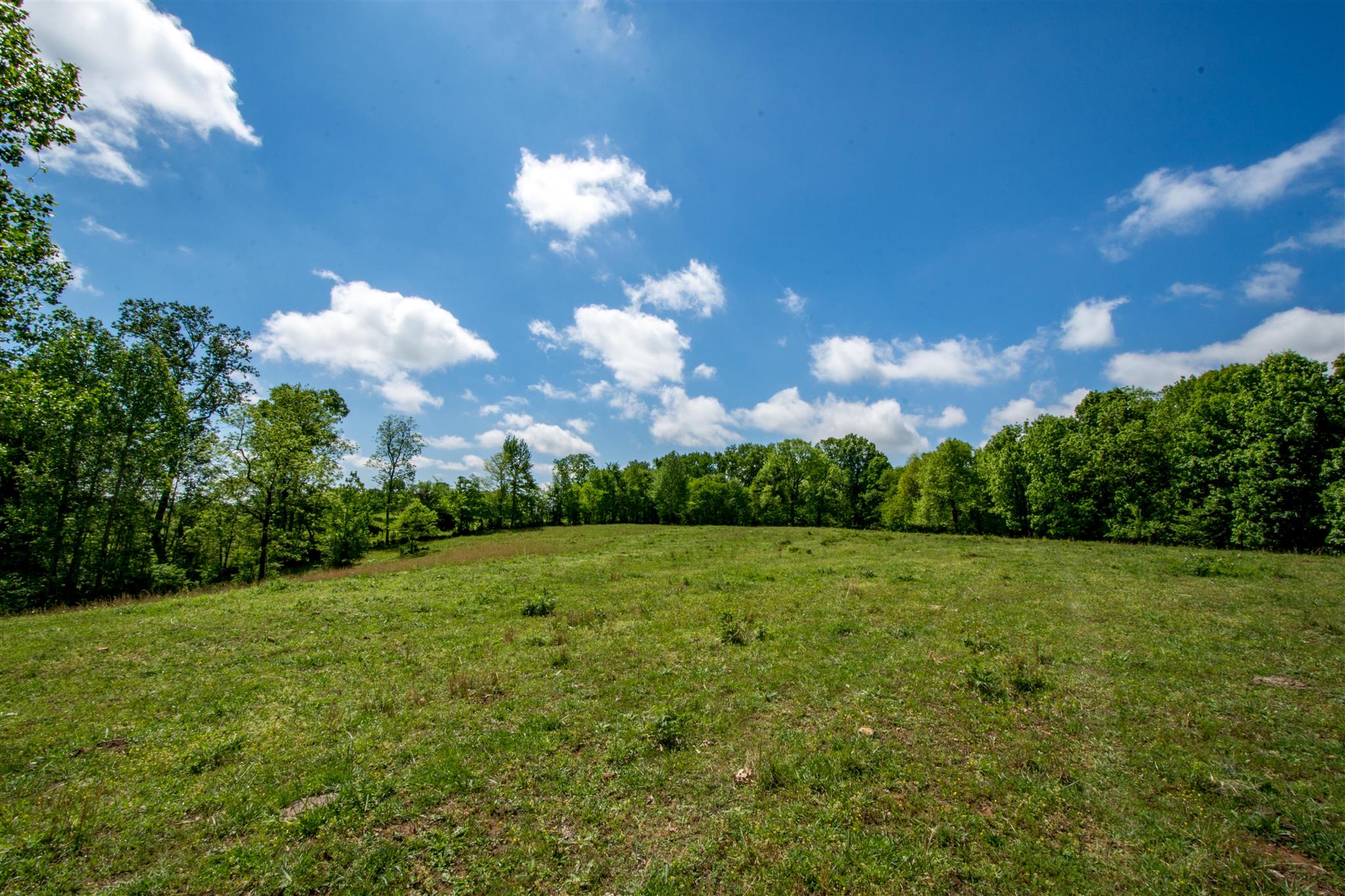 0 Tatum Road Pulaski, TN 38478 - Photo 7 of 30 a view of a big yard
