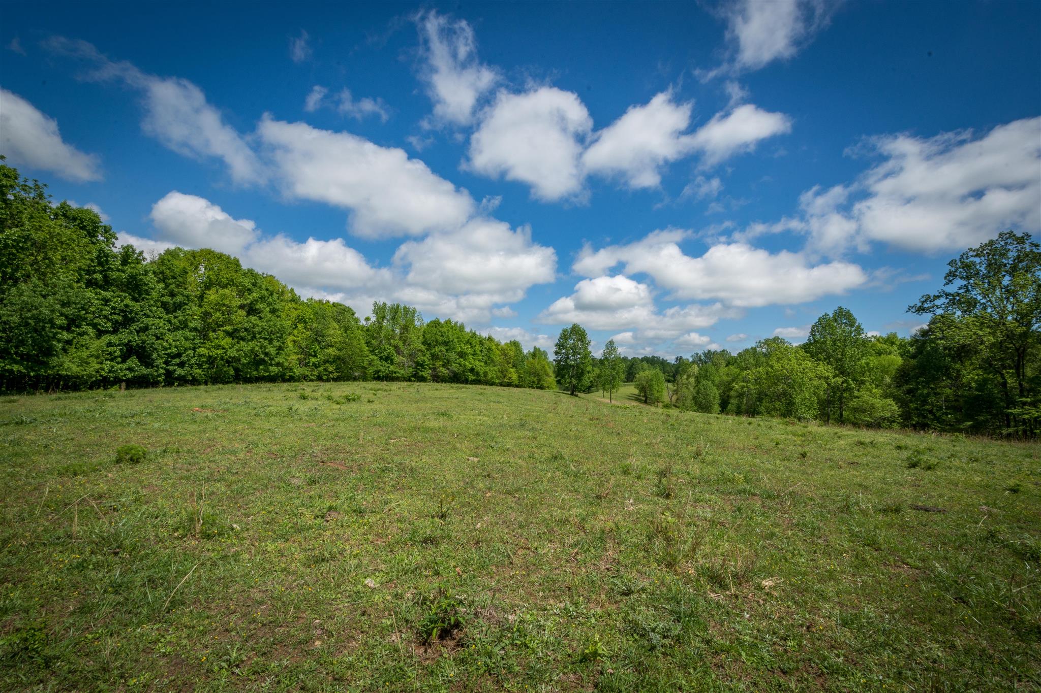 0 Tatum Road Pulaski, TN 38478 - Photo 8 of 30 a view of a big yard