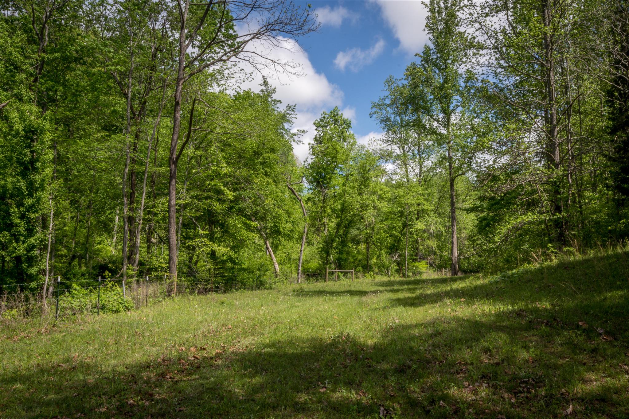 0 Tatum Road Pulaski, TN 38478 - Photo 9 of 30 a view of outdoor space and yard