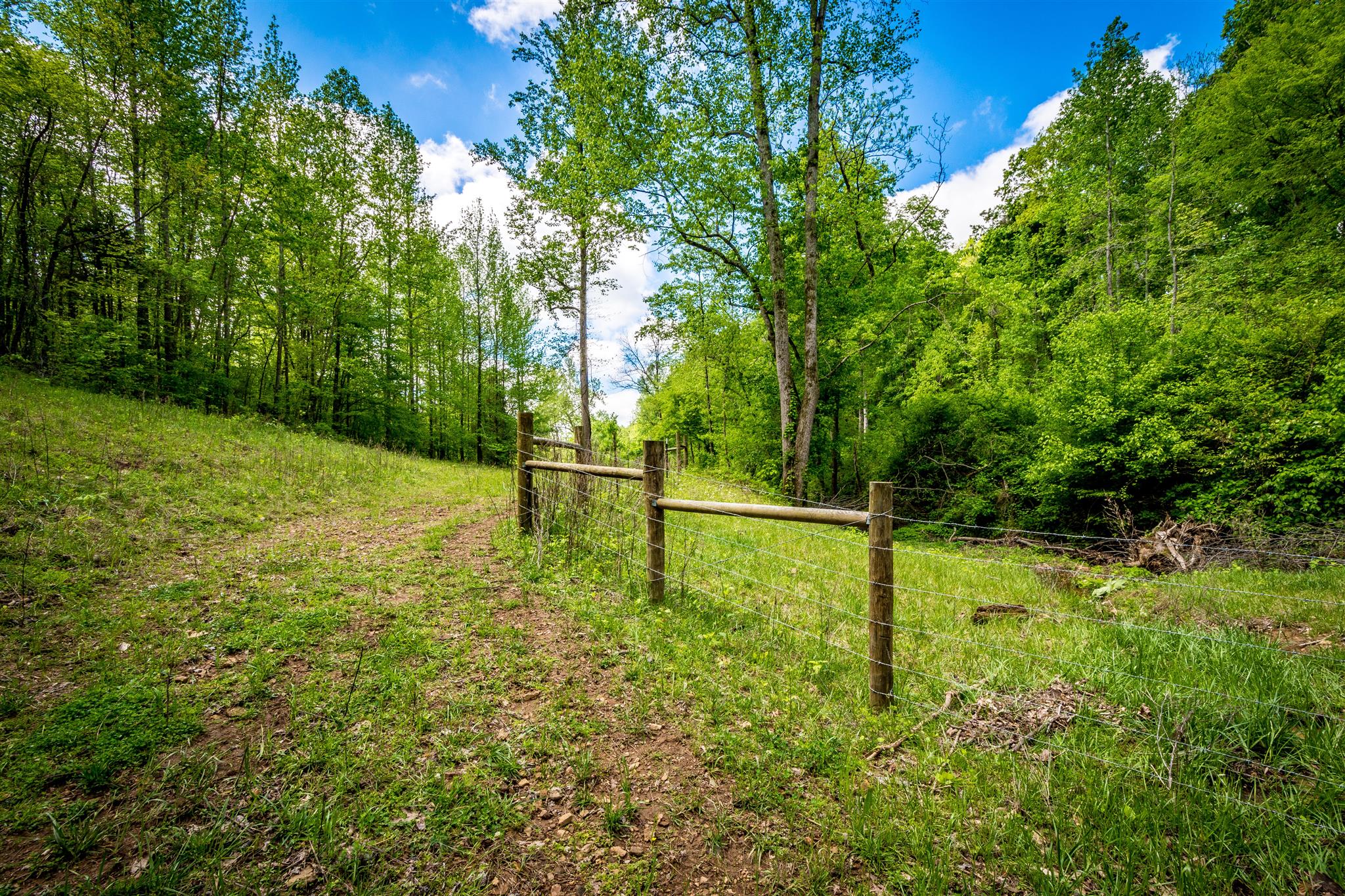 0 Tatum Road Pulaski, TN 38478 - Photo 10 of 30 a view of a backyard