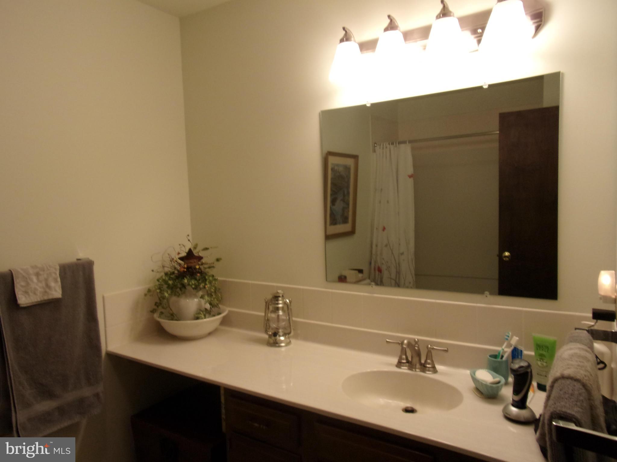 15304 Dellinger Road Williamsport, MD 21795 - Photo 16 of 30 Bath