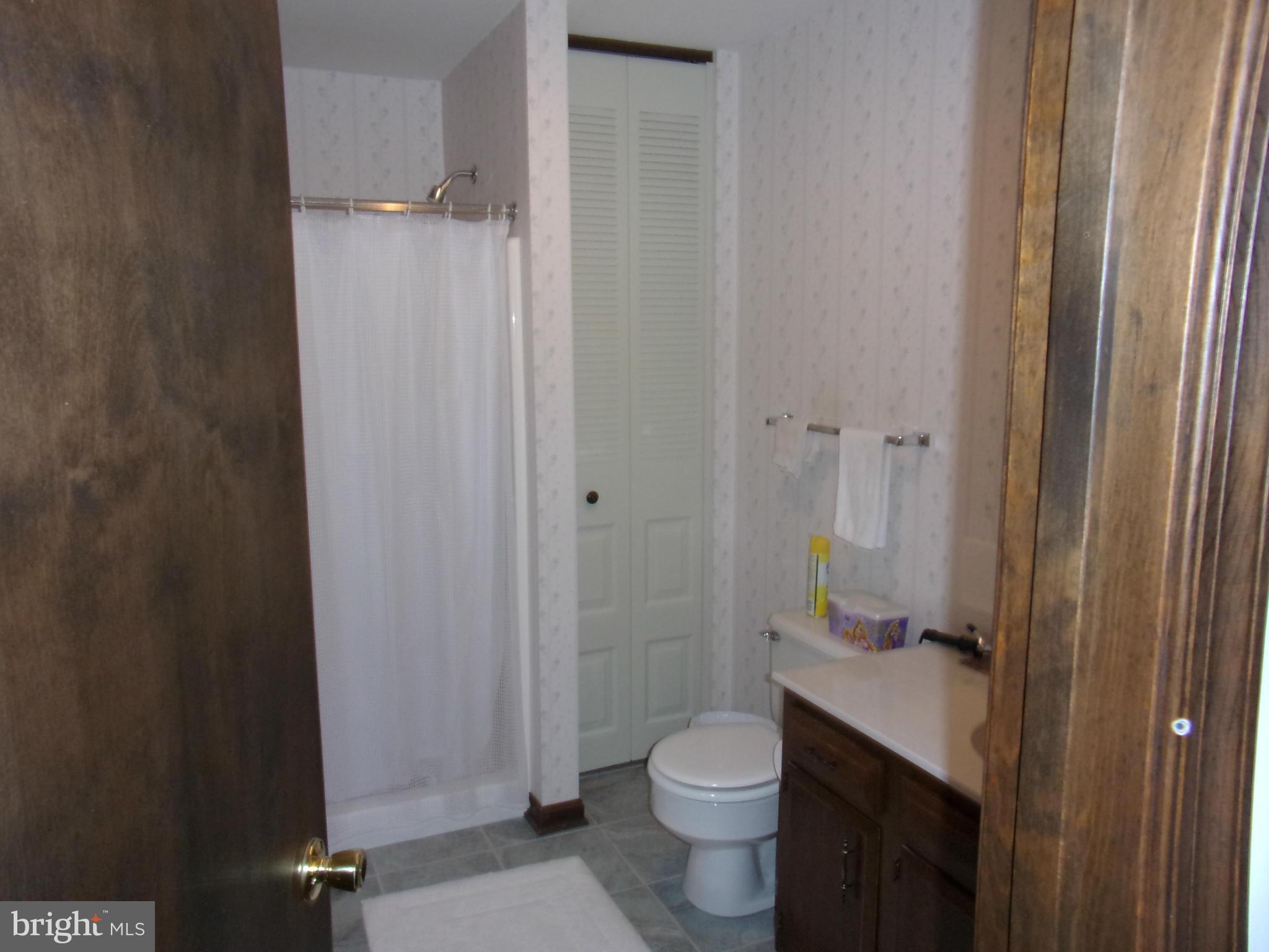 15304 Dellinger Road Williamsport, MD 21795 - Photo 18 of 30 Bath (Master)
