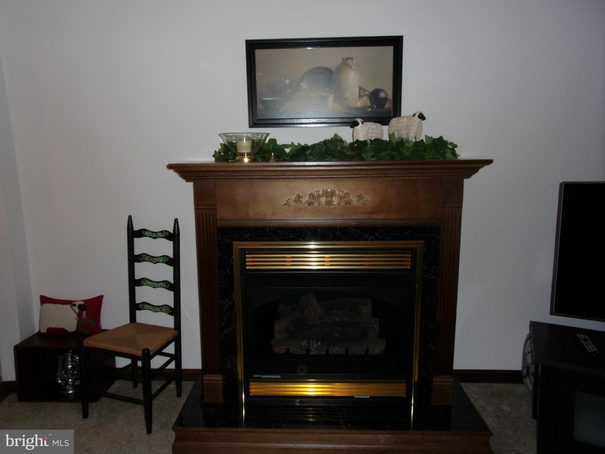 15304 Dellinger Road Williamsport, MD 21795 - Photo 8 of 30 Interior (General)
