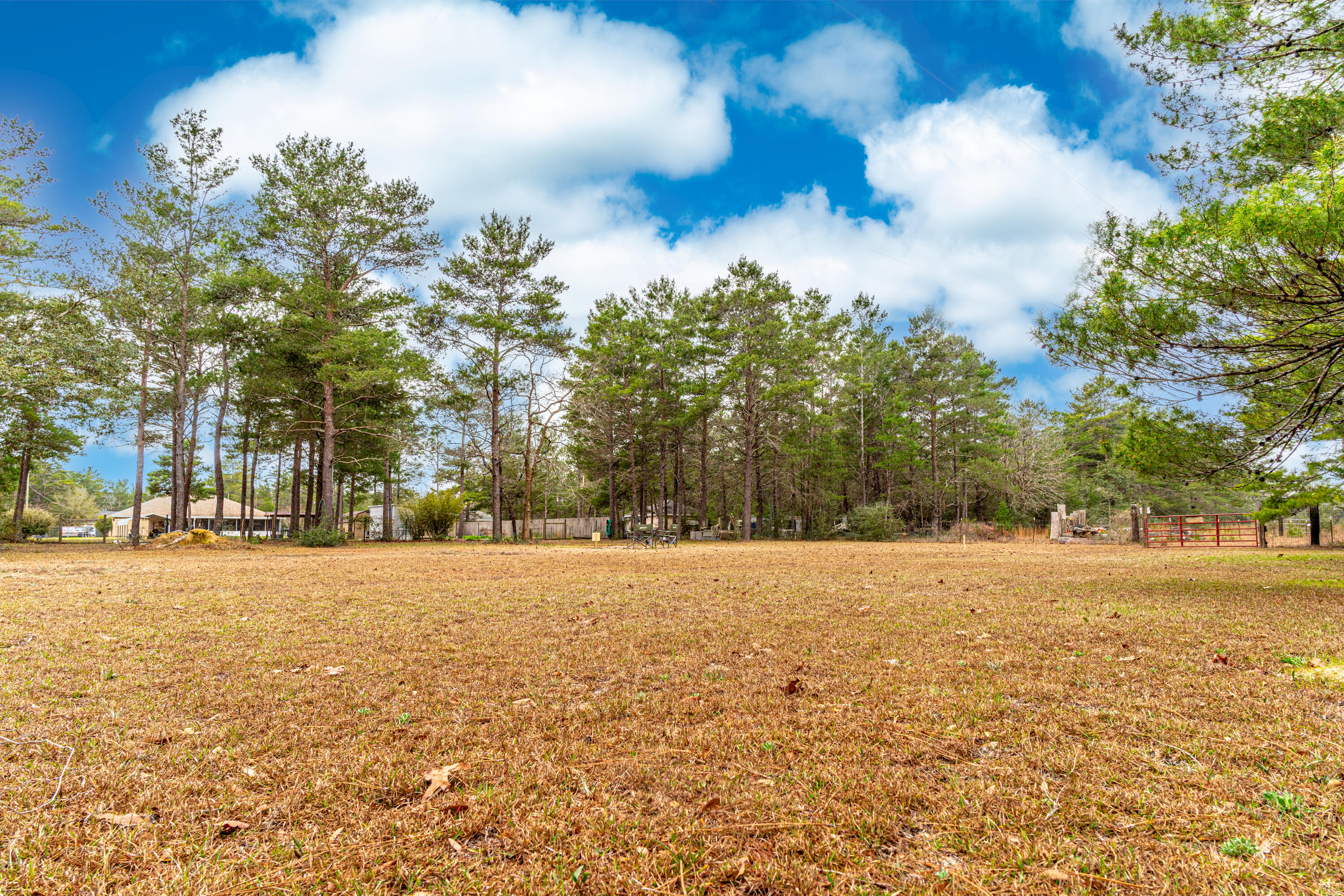 4037 Randi Road Crestview, FL 32539 - Photo 3 of 44 Small Pasture