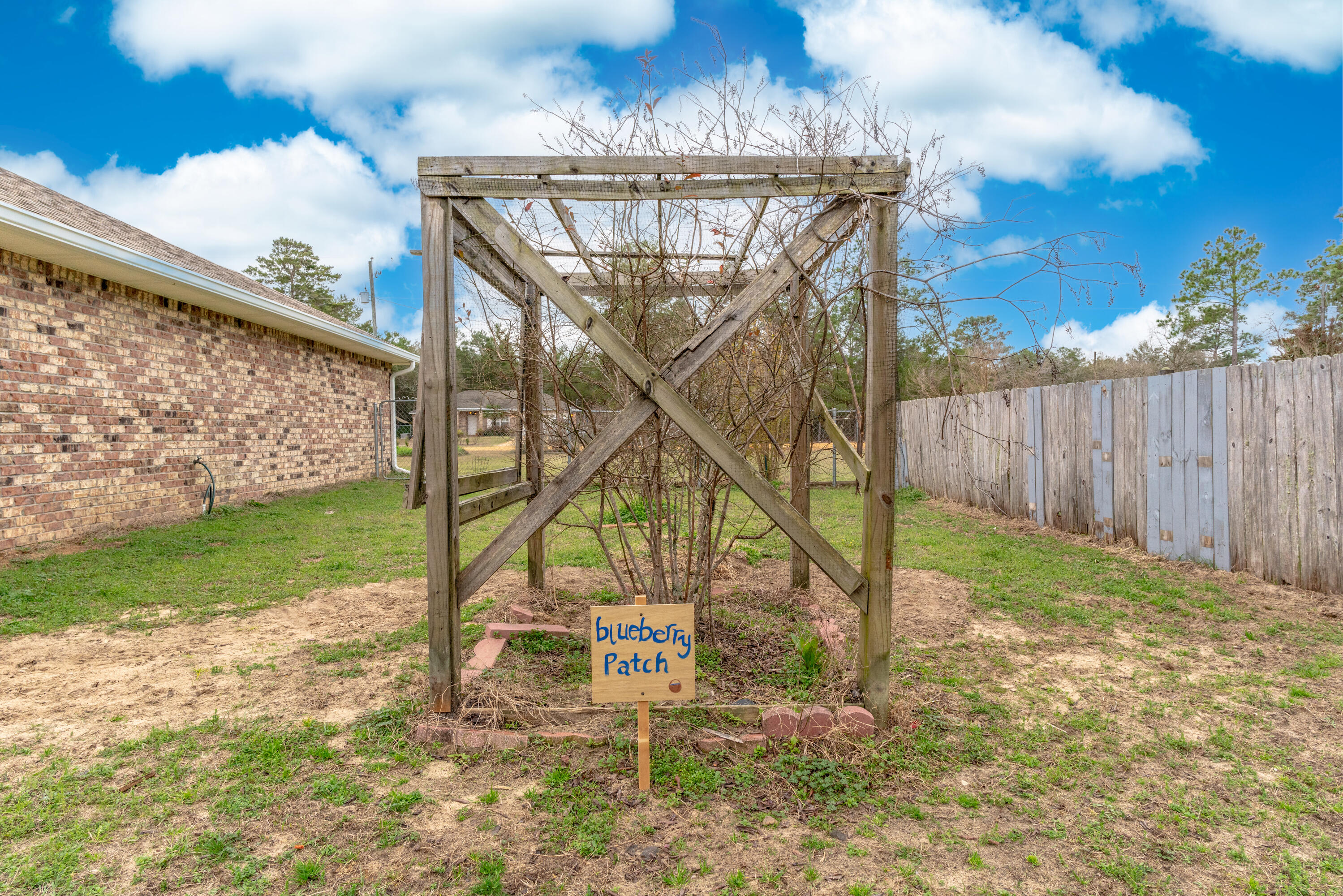 4037 Randi Road Crestview, FL 32539 - Photo 39 of 44 Blueberry Patch