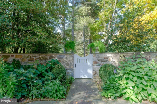a view of a park with large trees