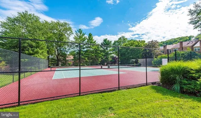 a view of a basket ball ground