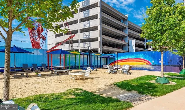 a view of a potted plant in a yard