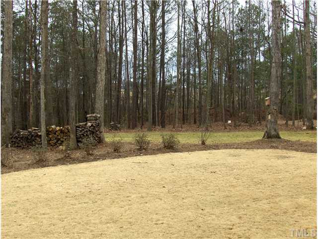 1716 Struble Circle Willow Spring, NC 27592 - Photo 22 of 25 Back Yard