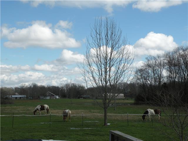 809 Jackson Road Portland, TN 37148 - Photo 14 of 20 Gallery Image 14
