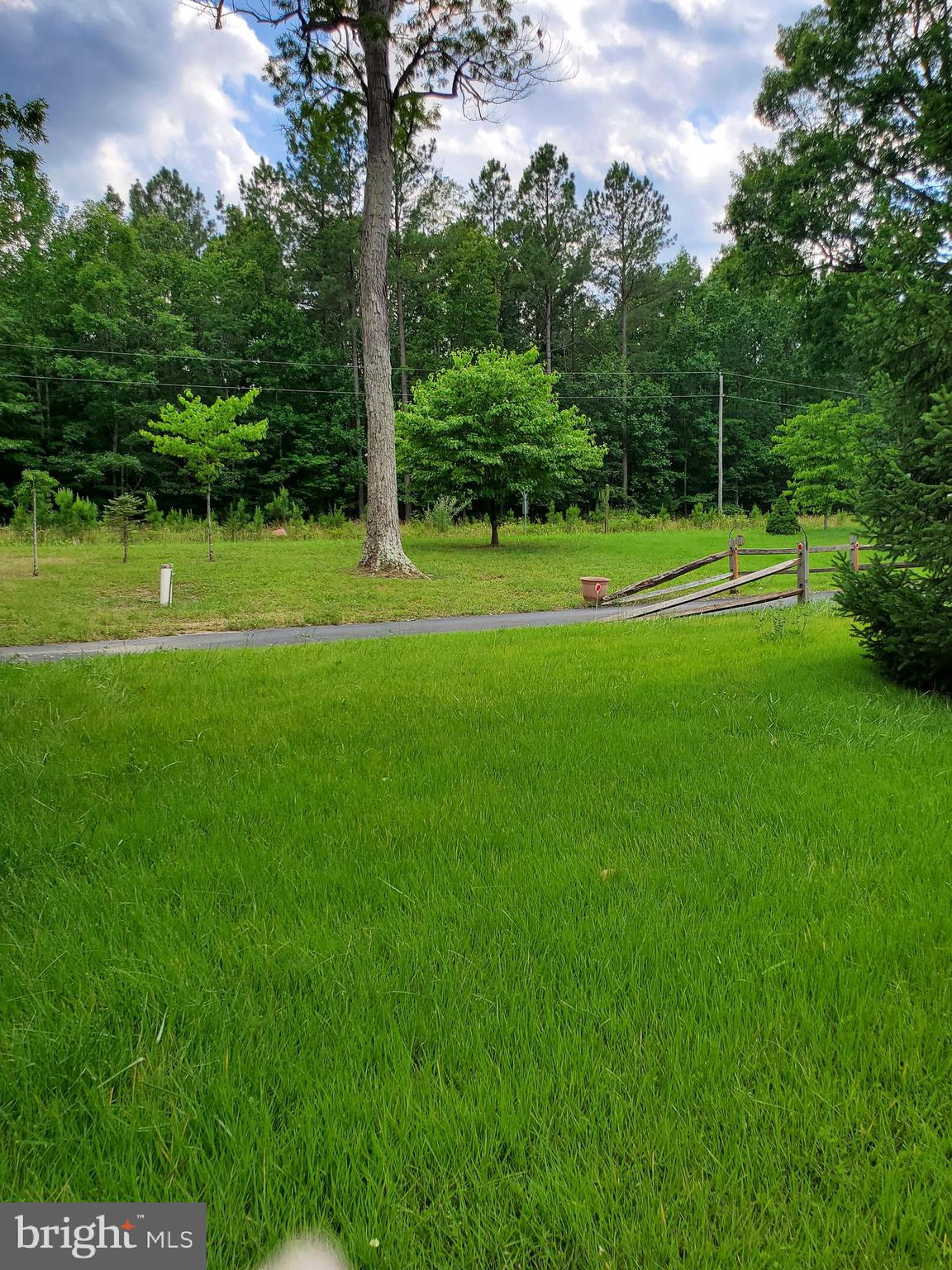 34351 Indiantown Road Locust Grove, VA 22508 - Photo 4 of 26 Front of Yard of Home