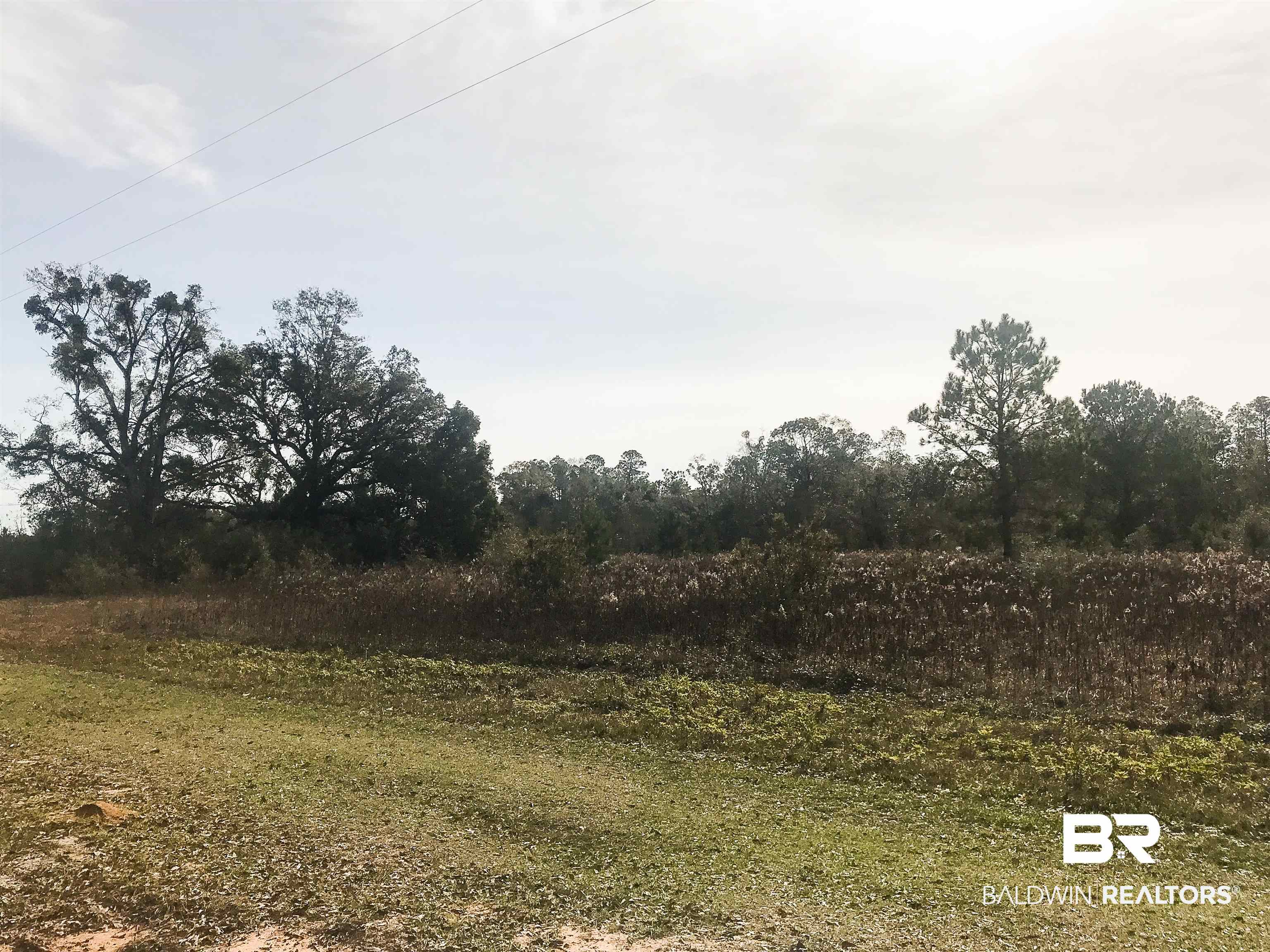 0 Steadham Lane Robertsdale, AL 36567 - Photo 11 of 24