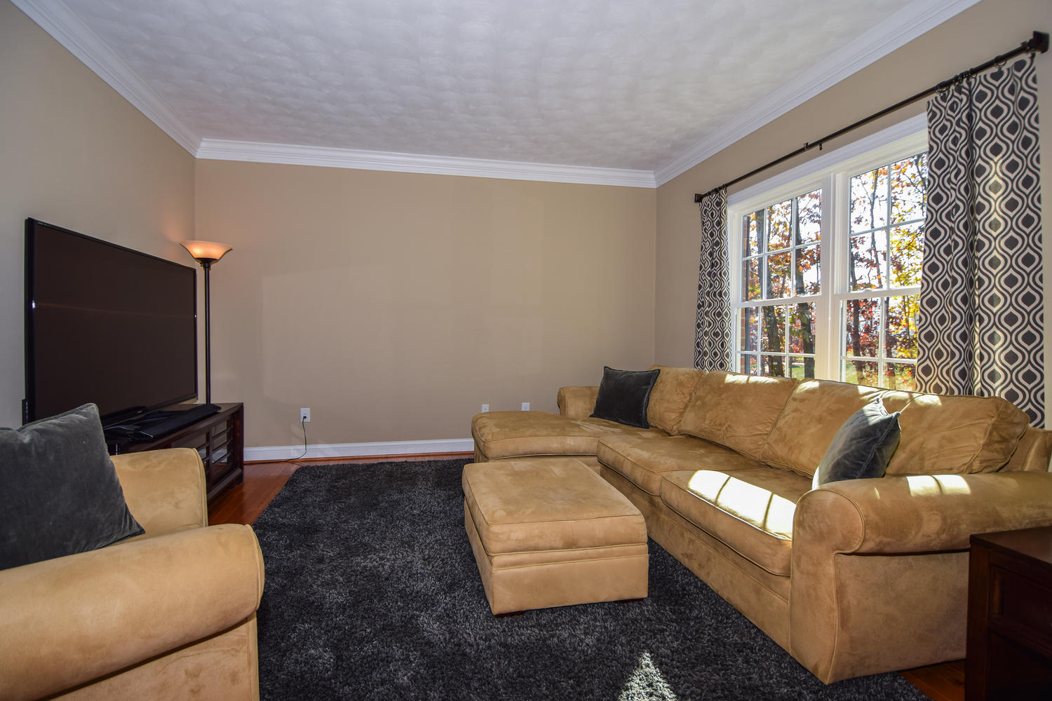 45 Turtle Rock Ridge Blue Ridge, VA 24064 - Photo 13 of 55 a living room with furniture and a flat screen tv