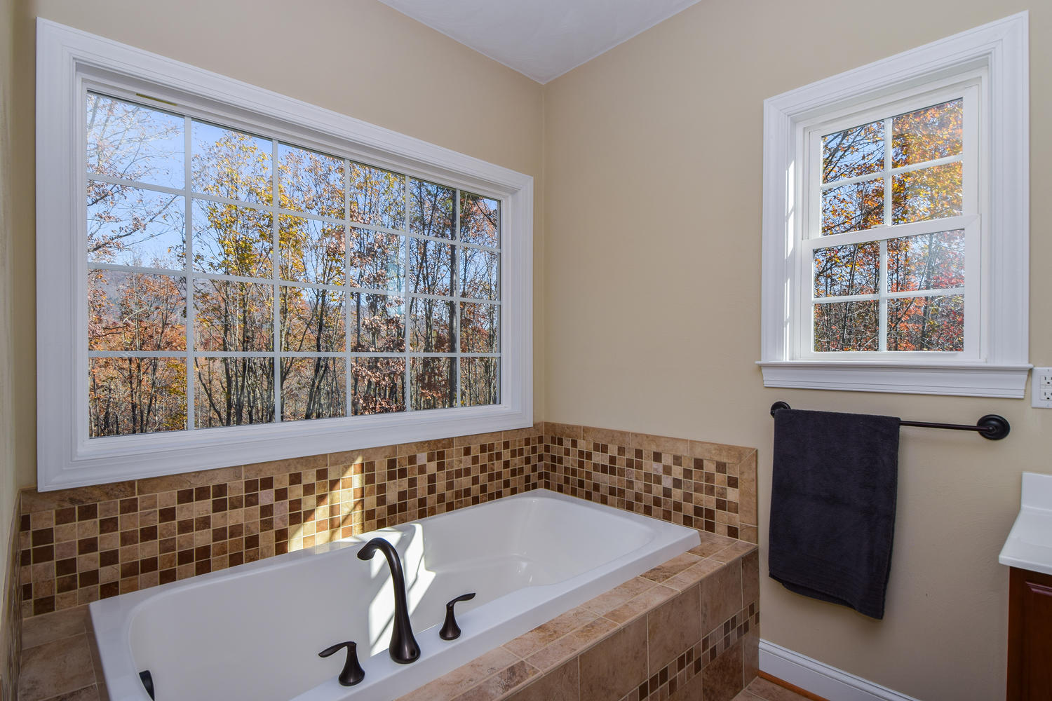 45 Turtle Rock Ridge Blue Ridge, VA 24064 - Photo 27 of 55 a bath tub sitting next to a window