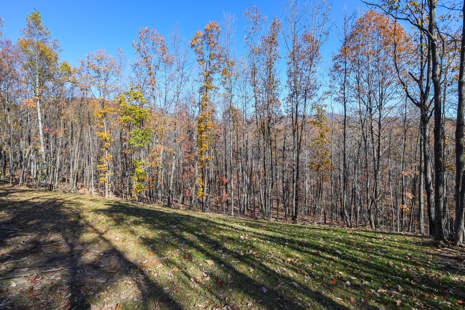 45 Turtle Rock Ridge Blue Ridge, VA 24064 - Photo 50 of 55 45 Turtle Rock Ridge Blue-large-045-34-4