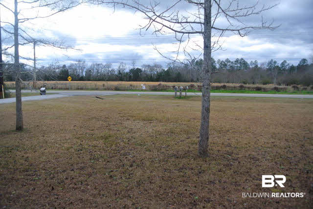 42360 Pine Grove Road Bay Minette, AL 36507 - Photo 16 of 25 View to street