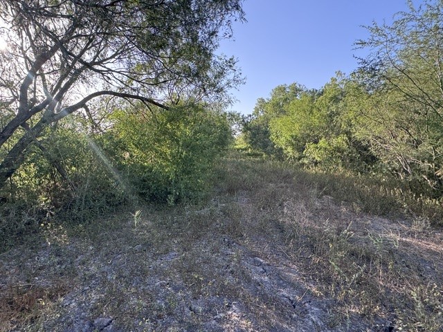 5929 Sweet Water Road Robstown, TX 78380 - Photo 15 of 18 Gallery Image 15