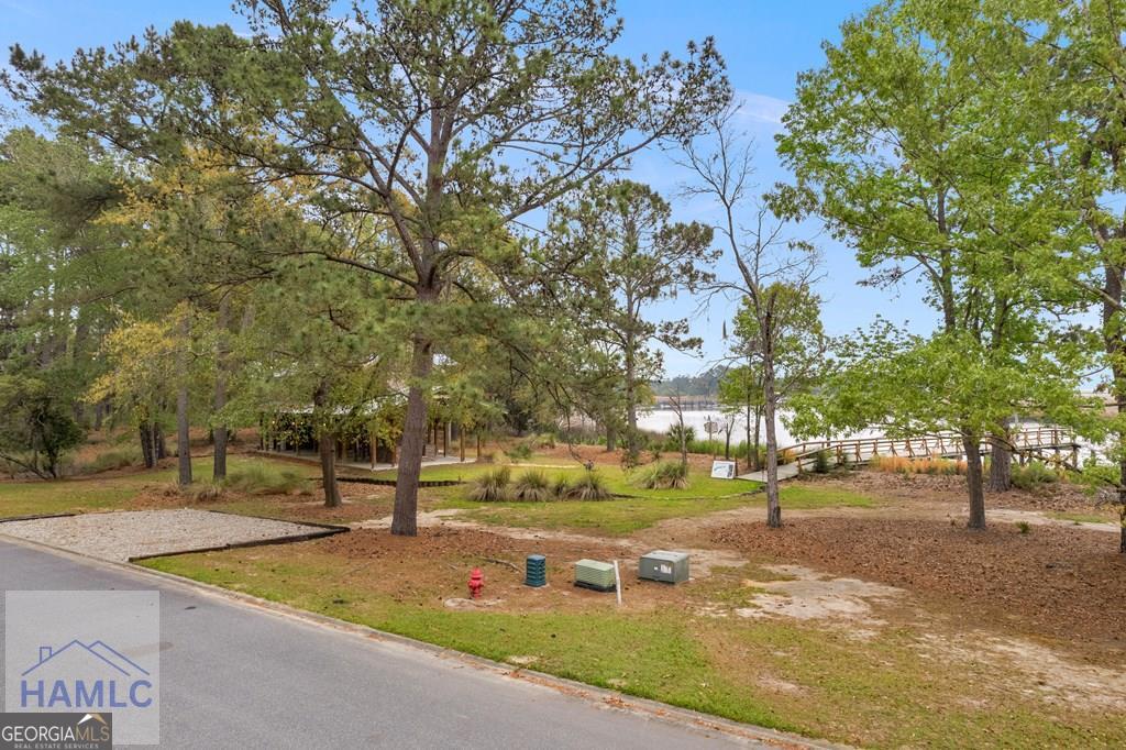 Lot 29 Jerico Marsh Road Midway, GA 31320 - Photo 11 of 14 a view of yard with tree